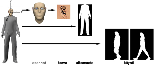 Kokovartalokuvat